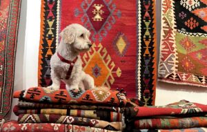 kilim-anatolya-tous-les-produits